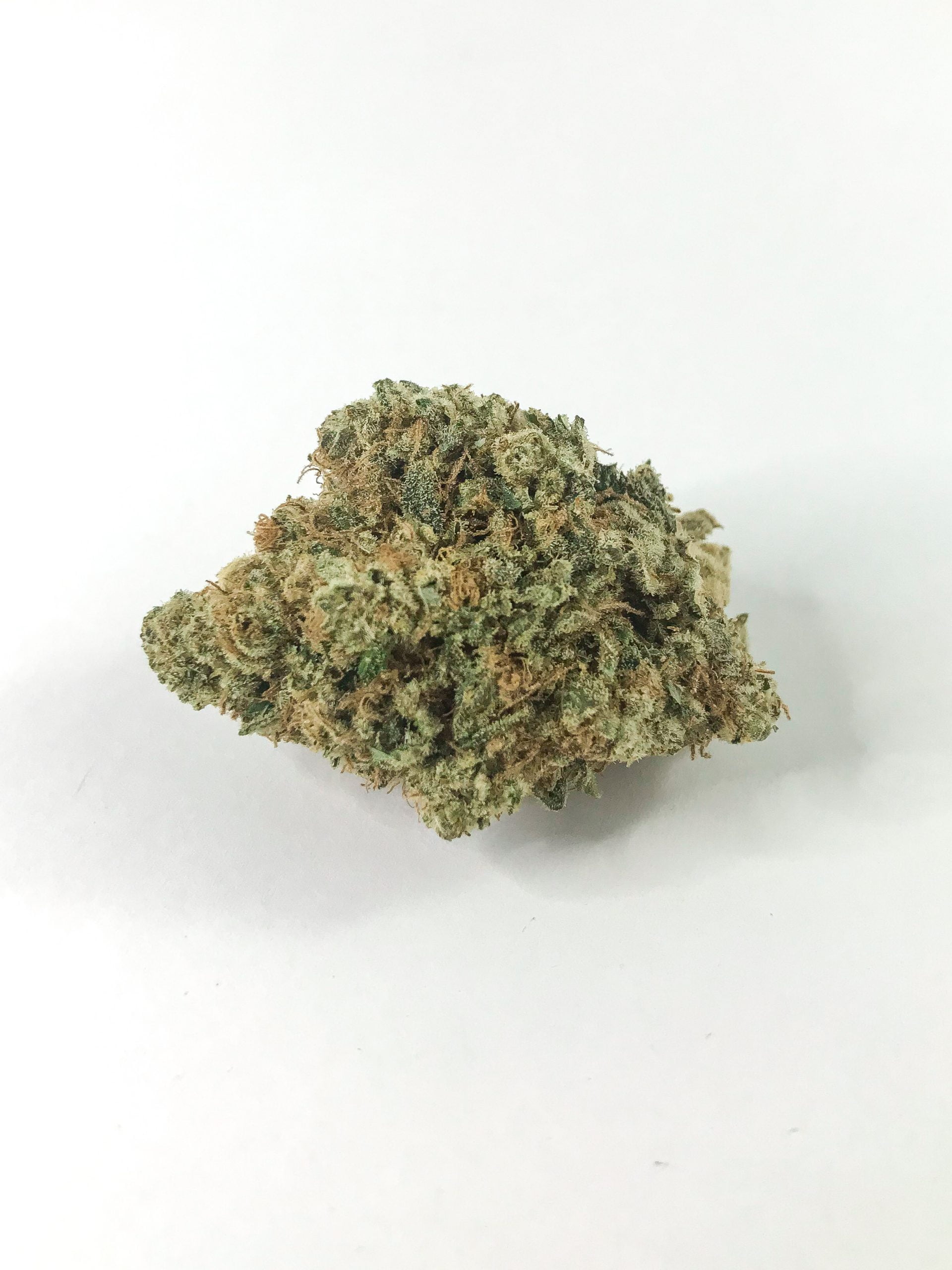 CHP scaled Coconut Hash Plant