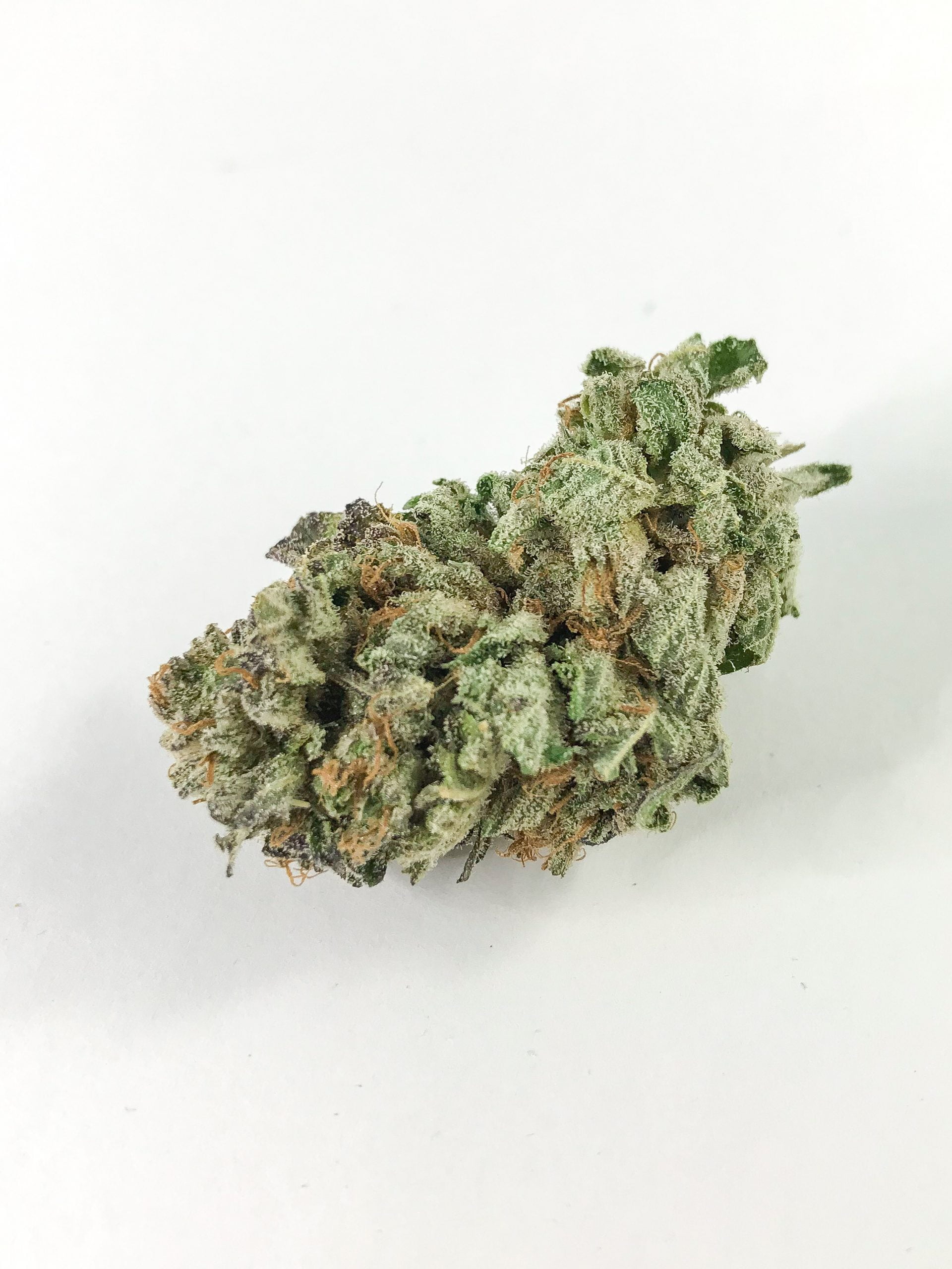 Grandaddy Purple scaled Grand Daddy Purple