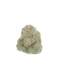 Cannalope Haze 1 1 Cannalope Haze