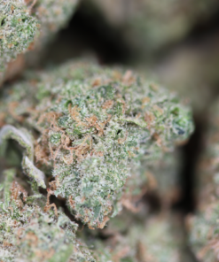 Cannalope Haze Bag 1 Cannalope Haze Bag 1