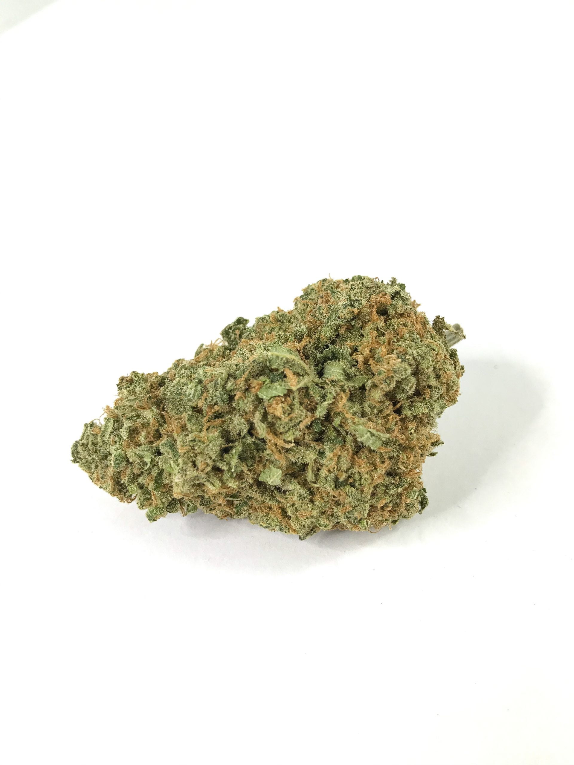 GSC scaled Zombie Kush