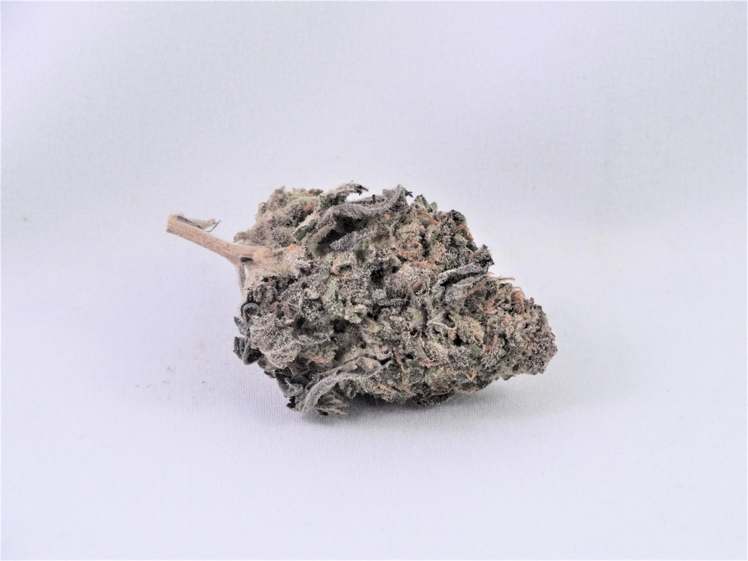 ayahuasca purp 1 scaled Ayahuasca Purple