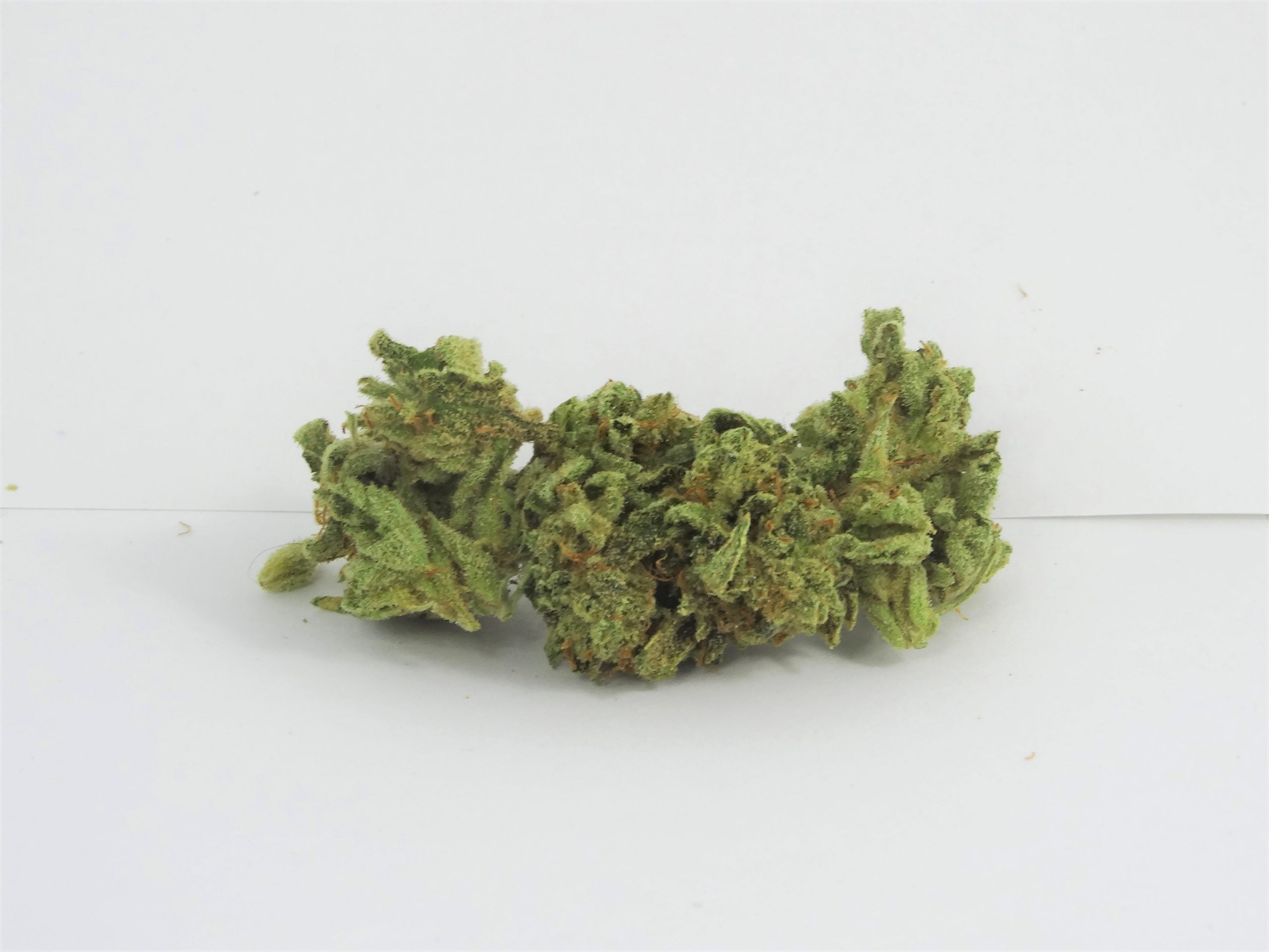 mk ultra nov5 scaled MK Ultra