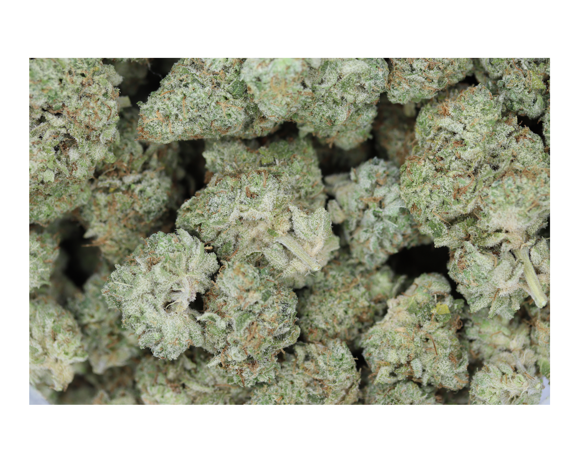 Grease Monkey bag Grease Monkey