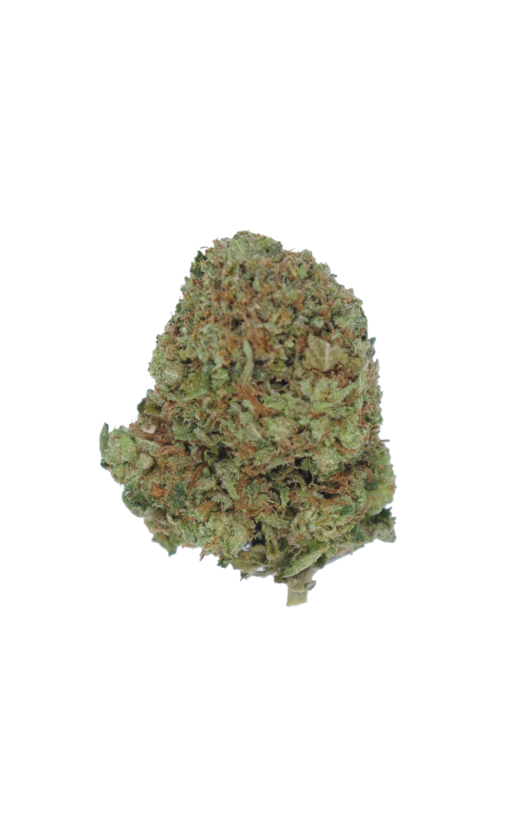 Master kush Master Kush