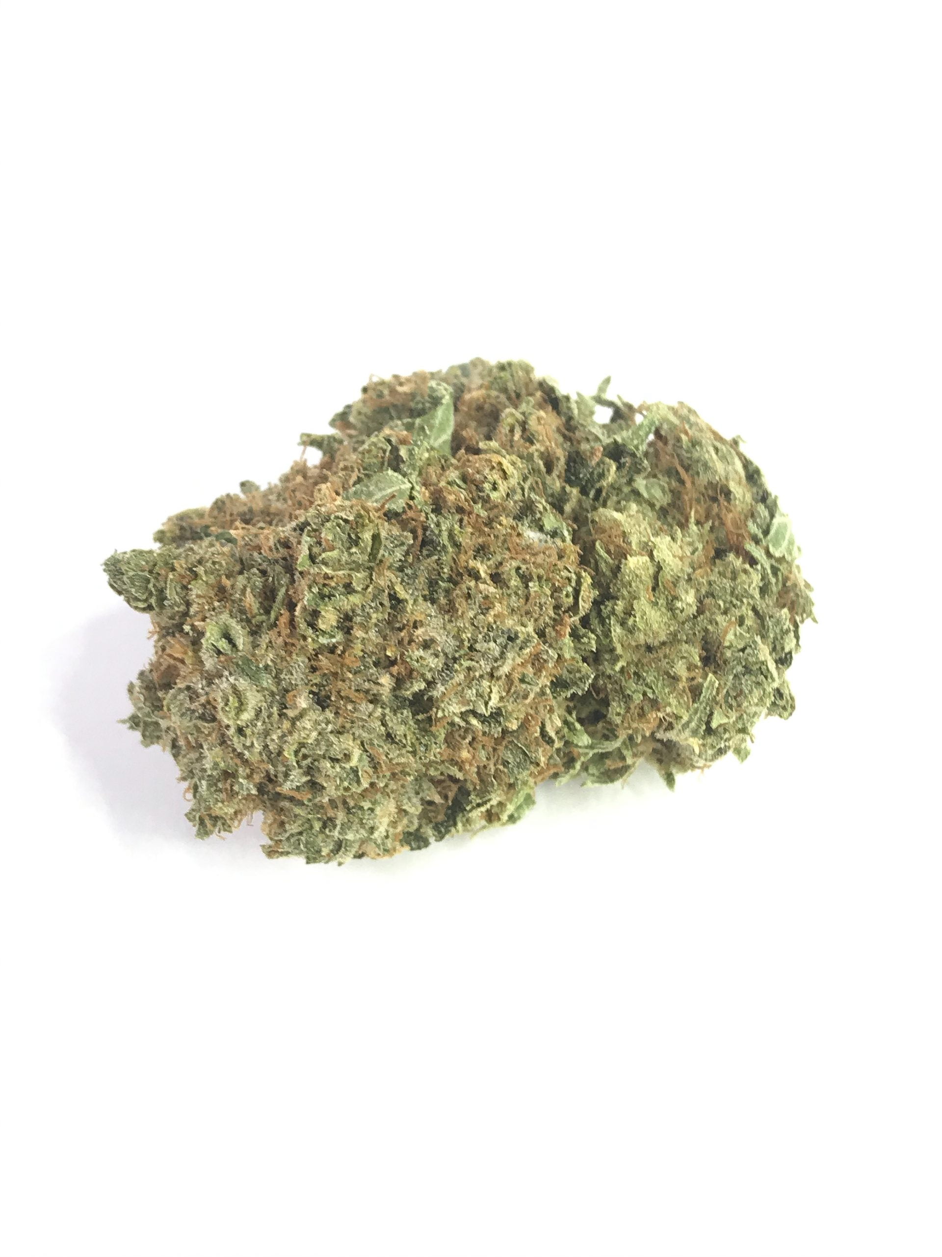 gorilla glu scaled Gorilla Glue (GG4)