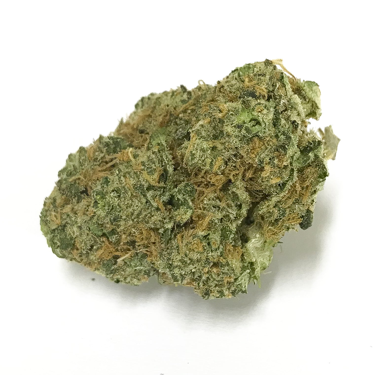 IMG 0509 Ounce Special - Hashplant