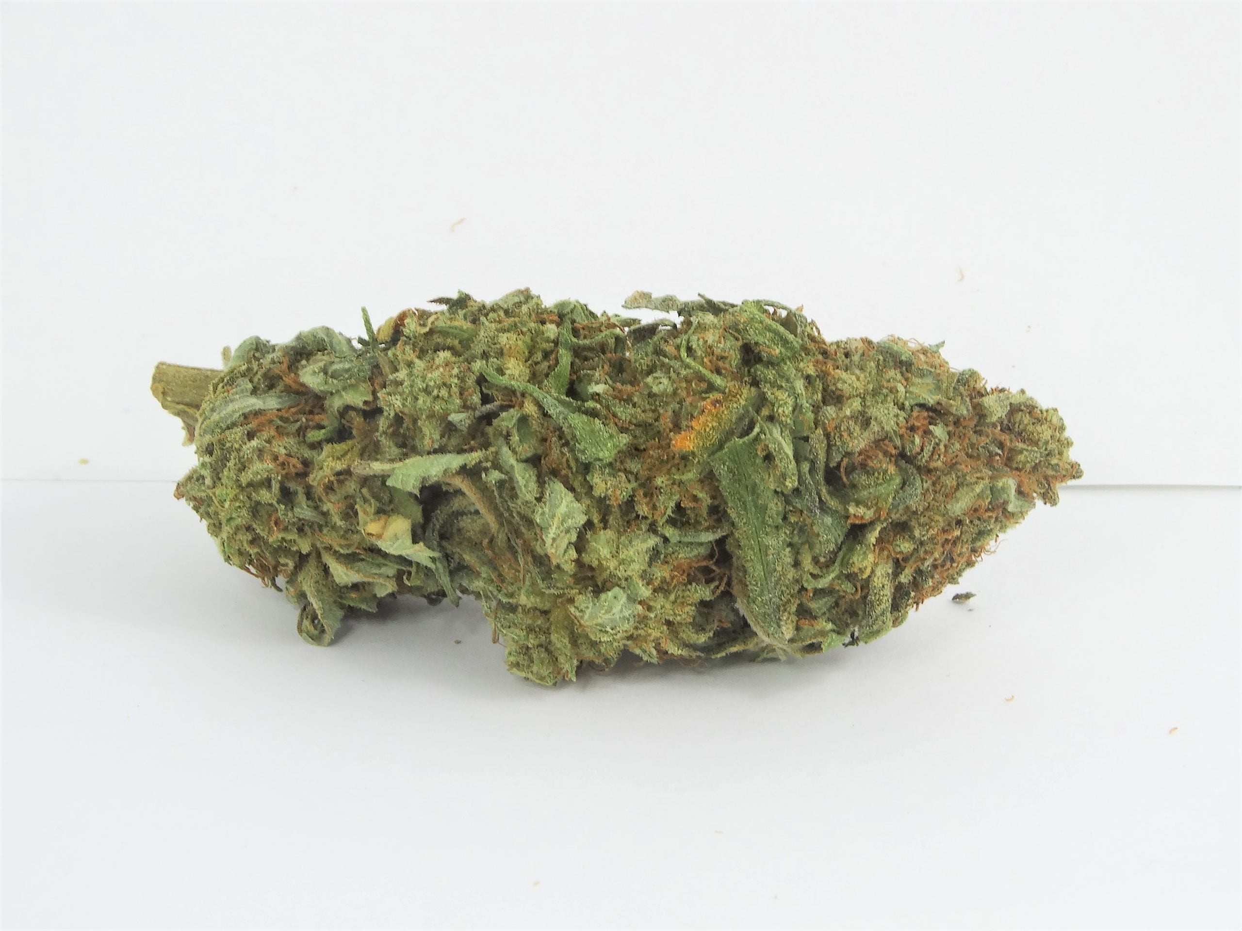 purple kush nov5 scaled Purple Kush