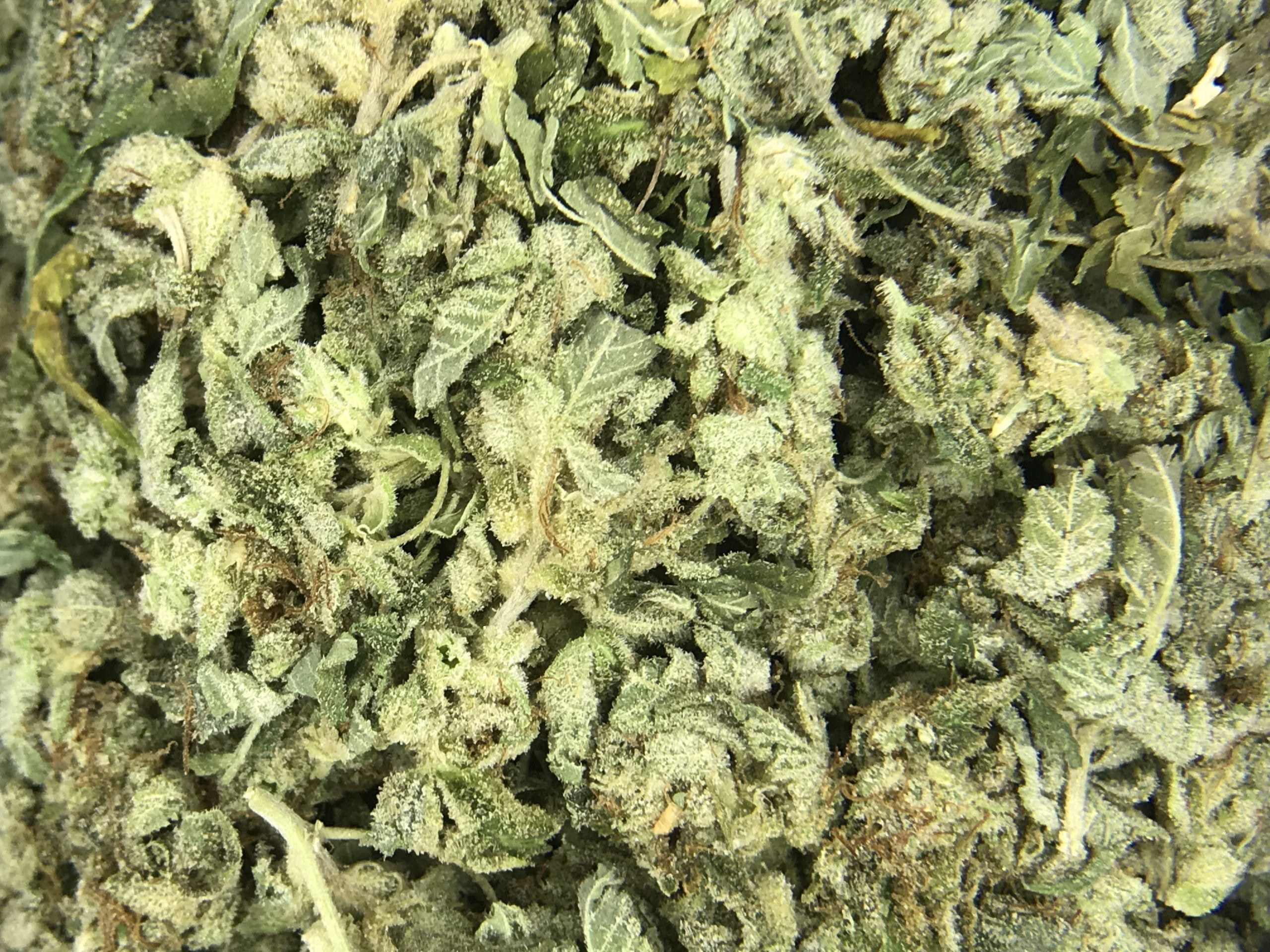 Grease Monkey Smalls scaled Grease Monkey Ounce Special (Small buds)