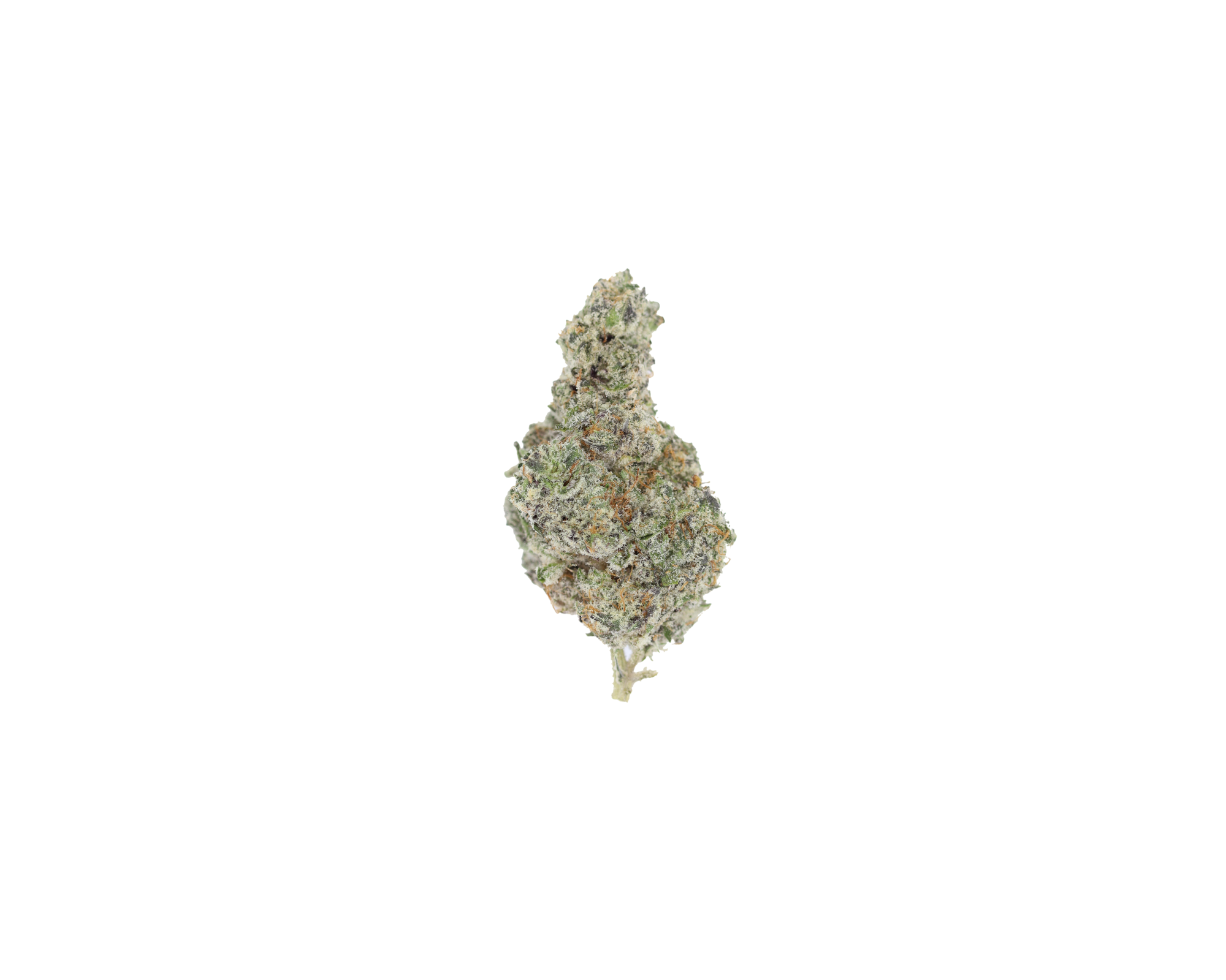 PeanutButterBreath Nug Peanut Butter Breath