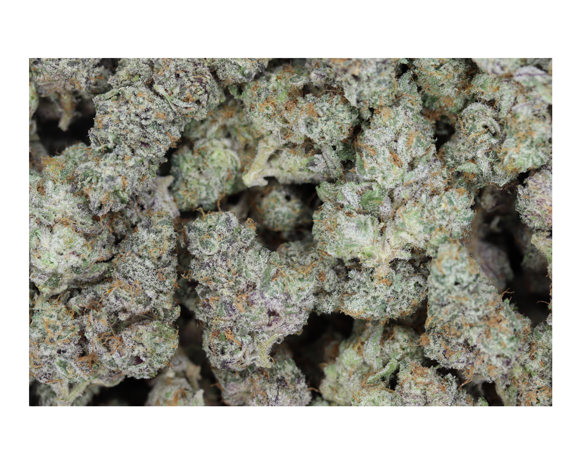 PeanutButterBreath bag Peanut Butter Breath