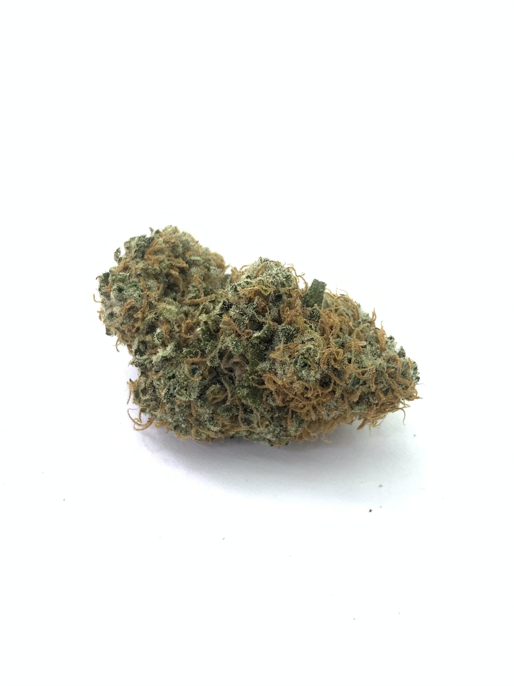 Red Congolese Red Congolese Ounce Special (Small buds)