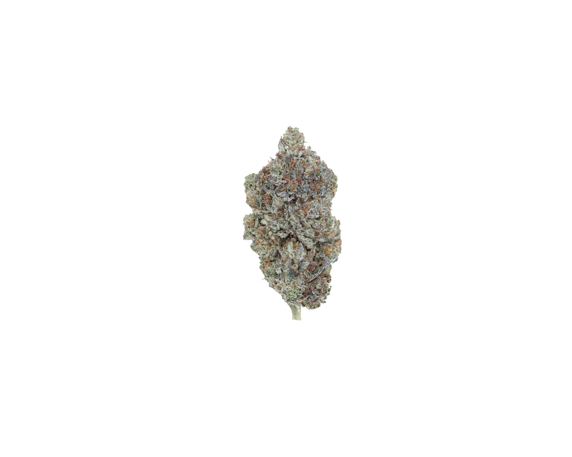 MKU Nug OG Kush