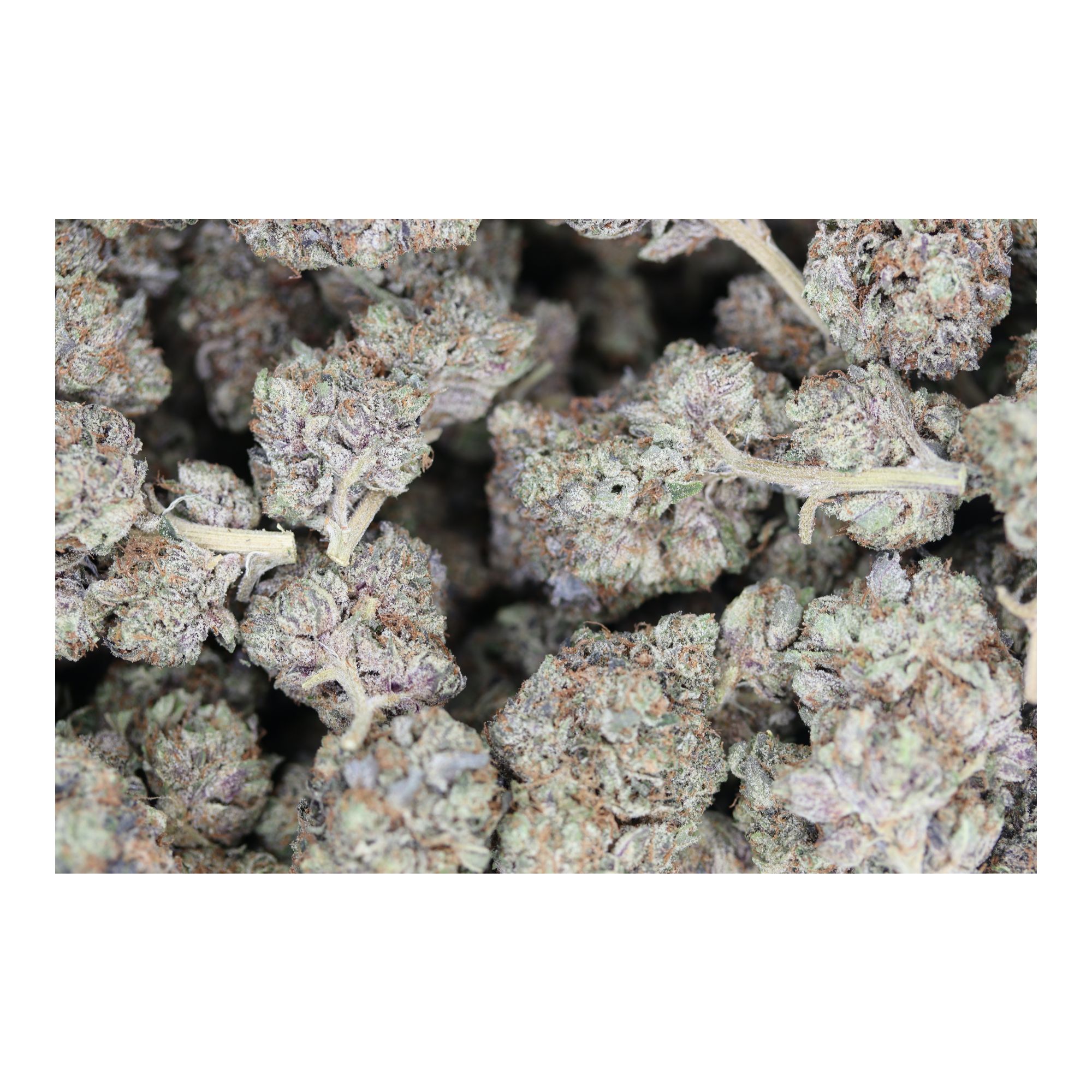 MKU bag OG Kush