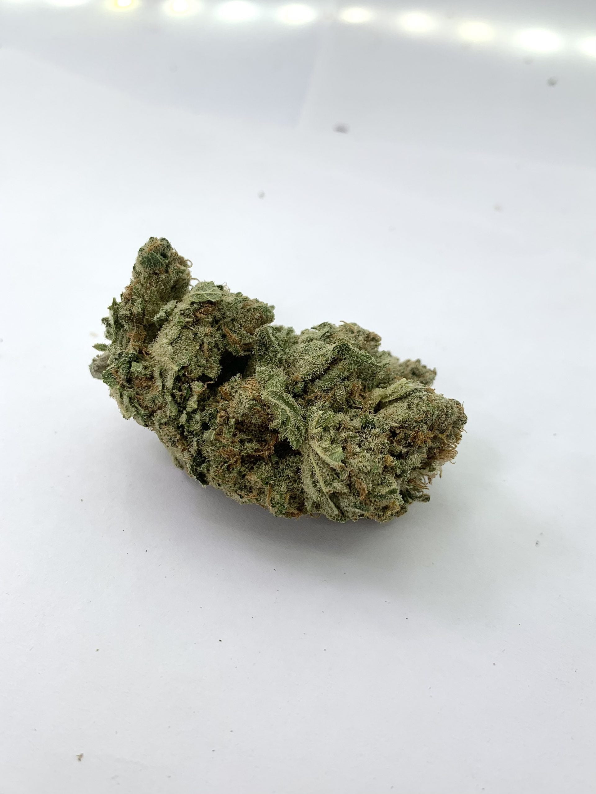 Sunset Sherbert scaled Sunset Sherbert (Oz Special)