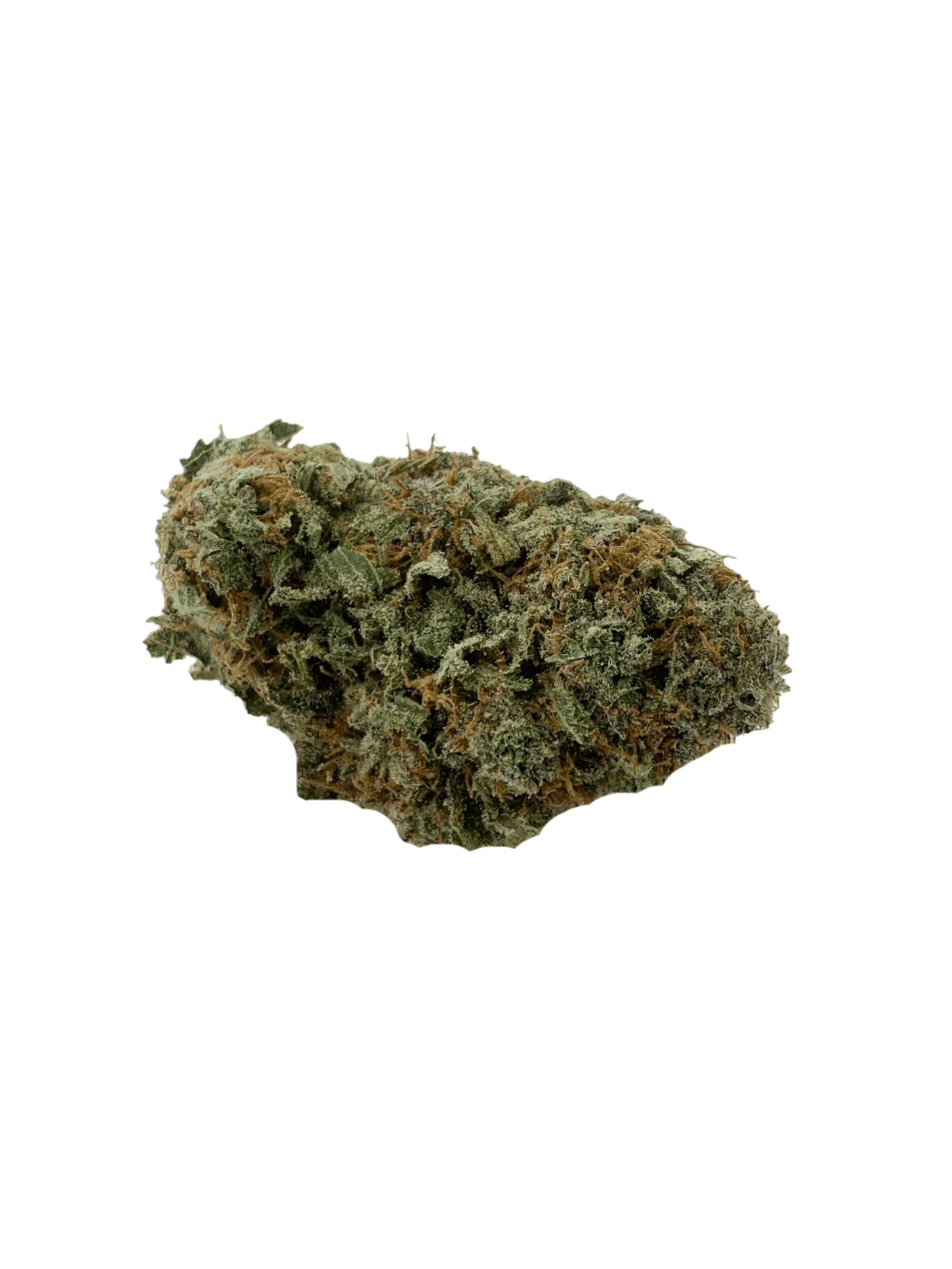 Tangie cutout 1 Tangie (Oz Special)