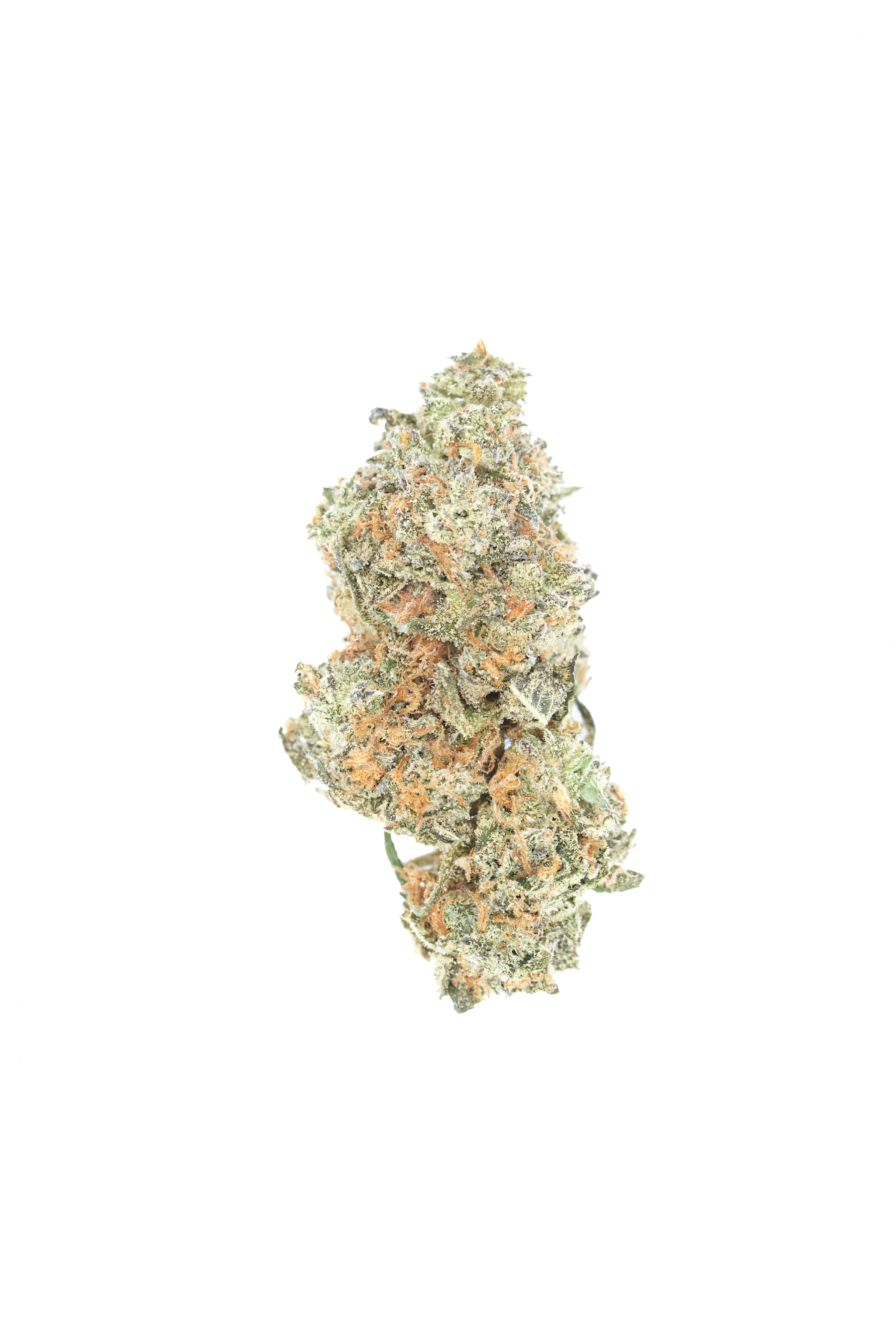 og truffle OG Truffle