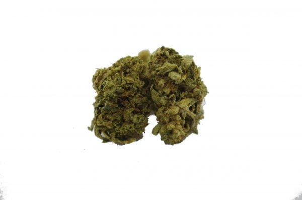 skunk Skunk