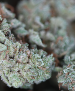 Lemon Haze Bag