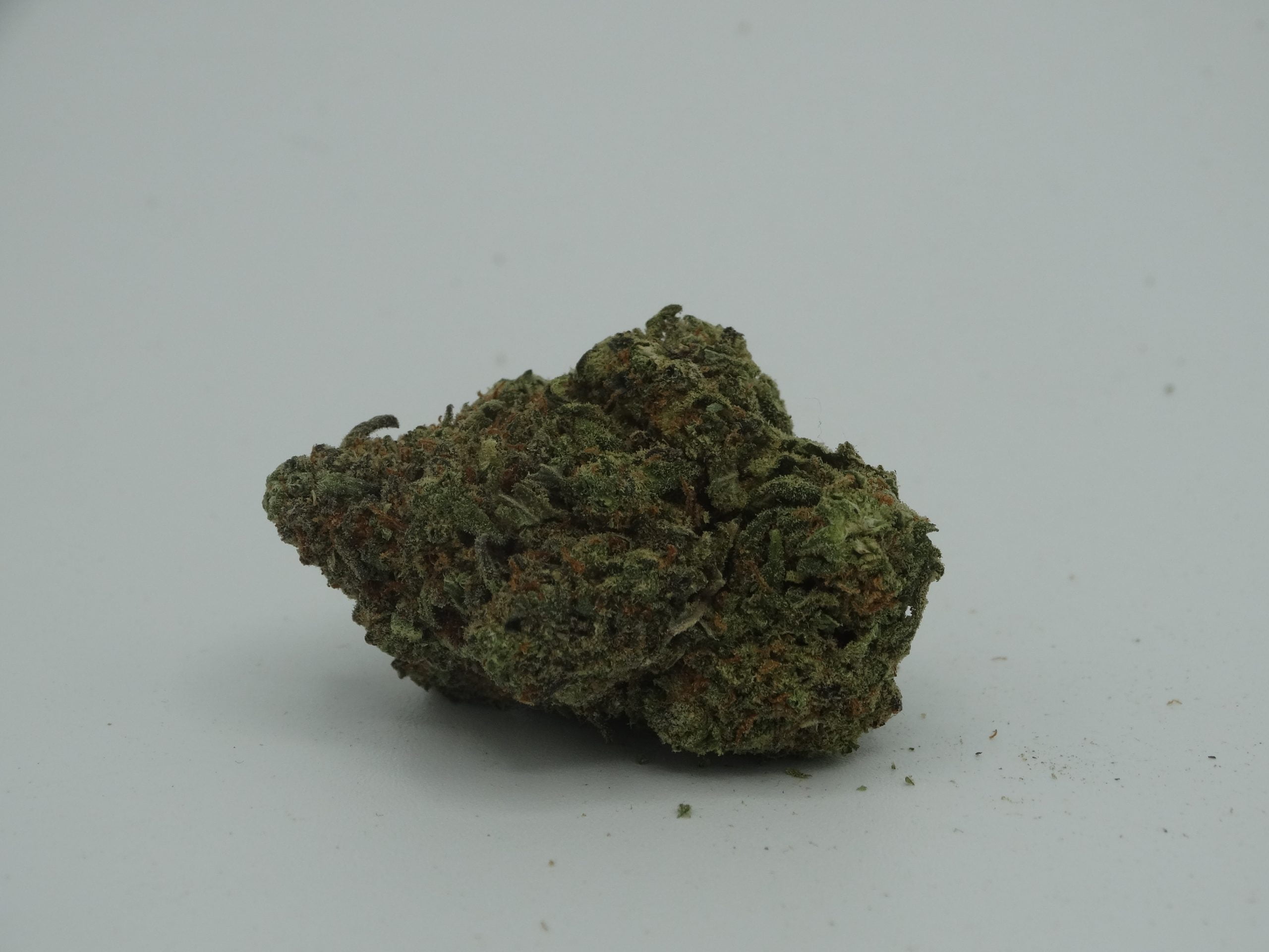 DSC05260 scaled Purple Nuken
