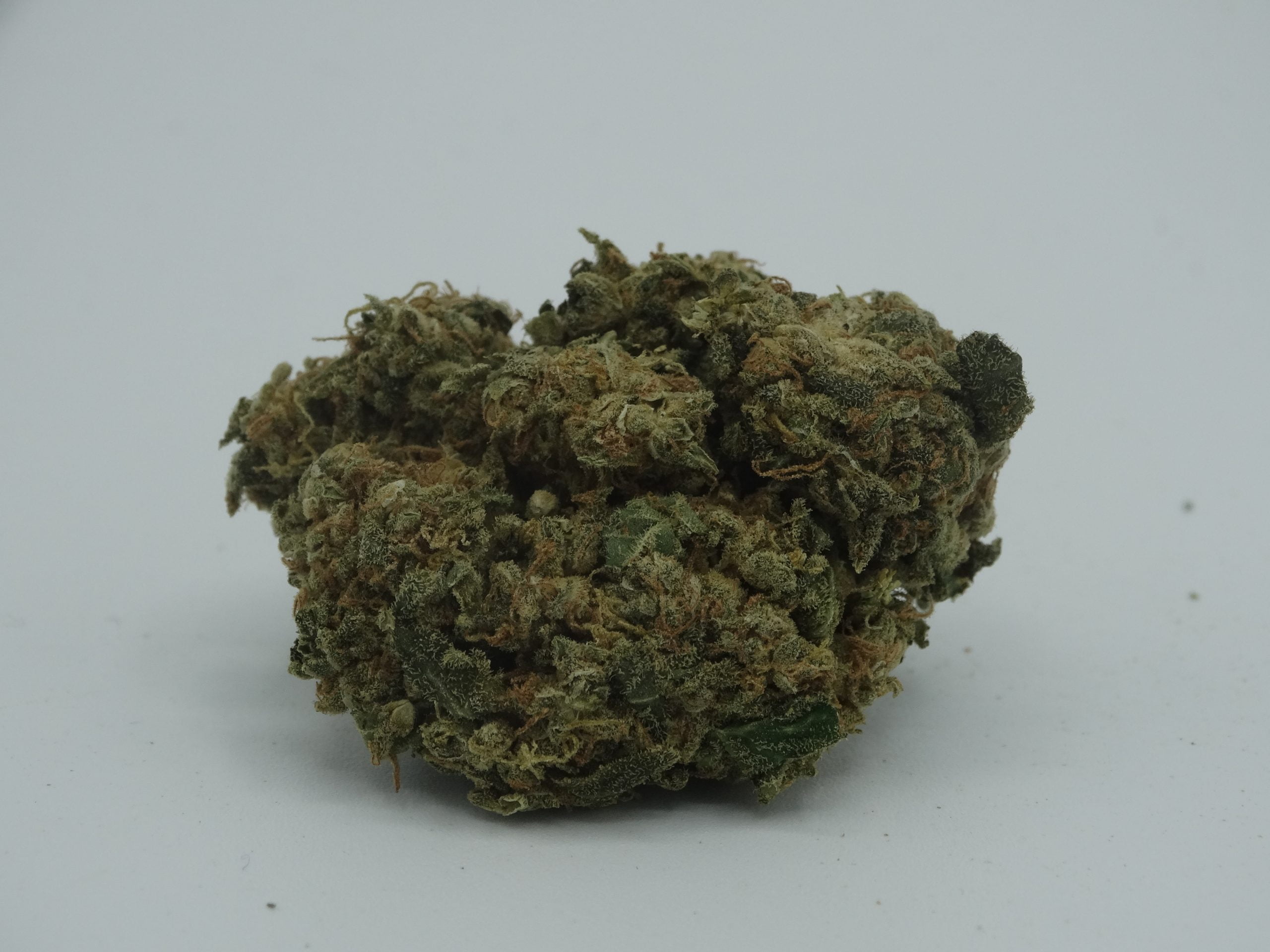 DSC05269 scaled Lemon Haze Oz Special