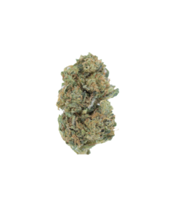 Apple Fritter