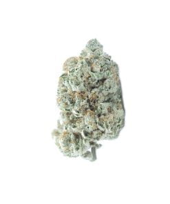 buy animal mints online