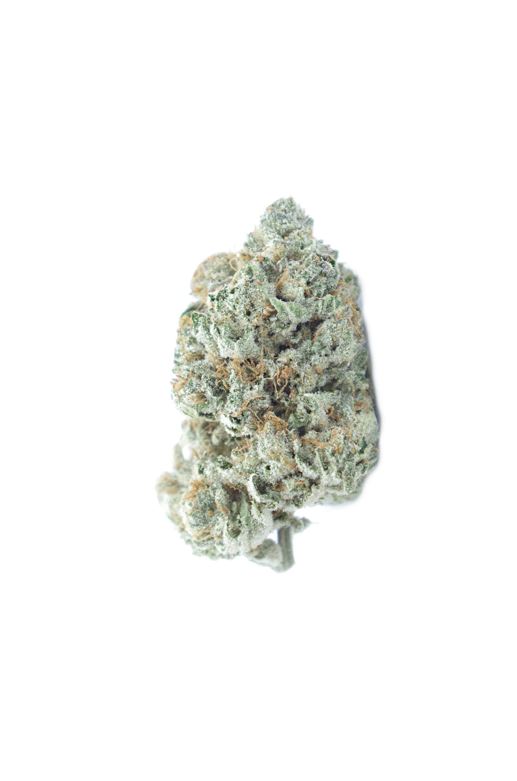 Animal Mints Big Bud scaled 1 Animal Mints Oz Special