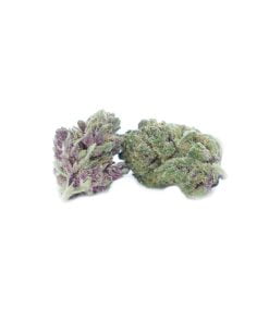 buy astro pop online