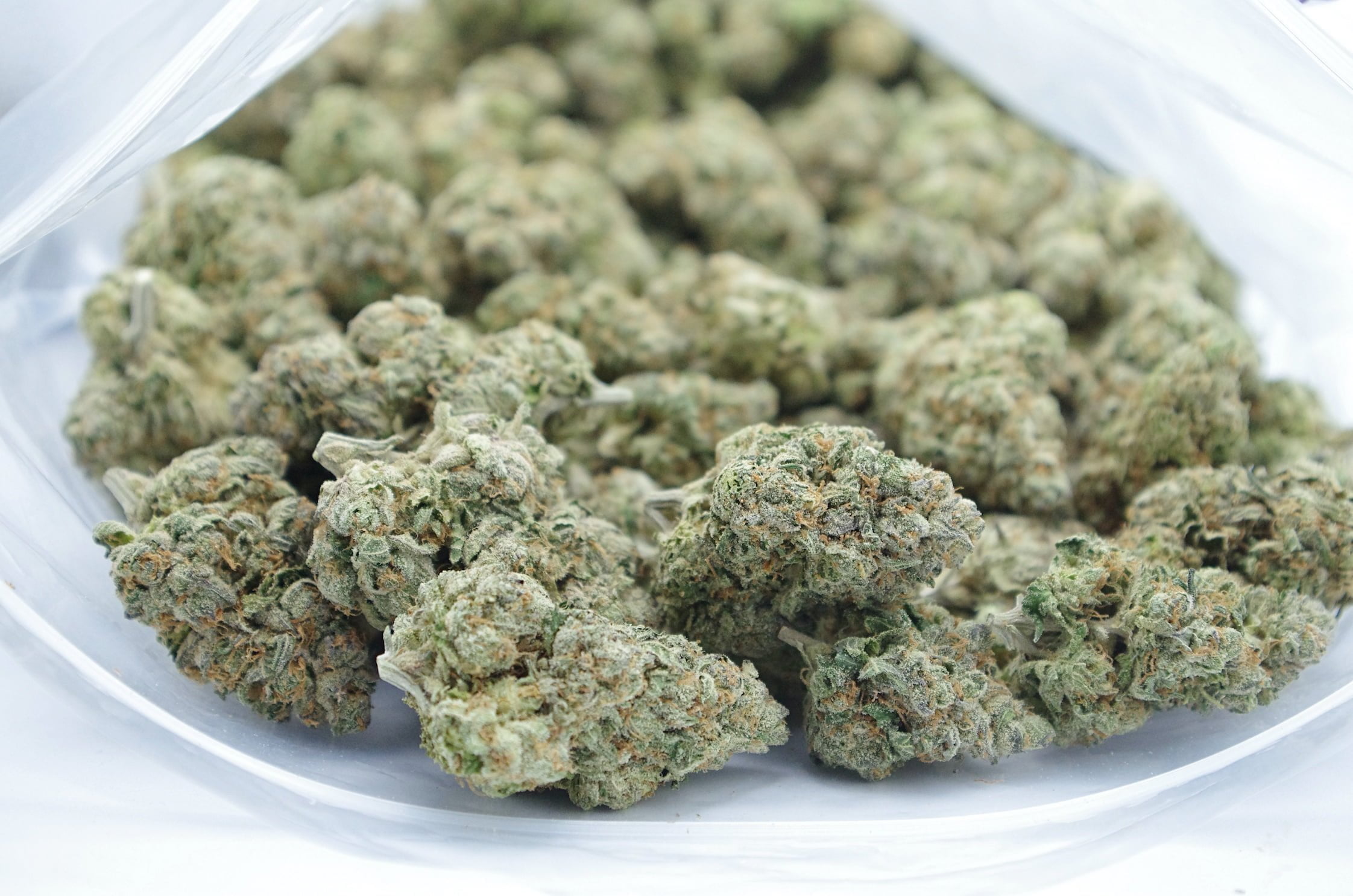 Ayahuasca Bag Ayahuasca Purple Oz Special