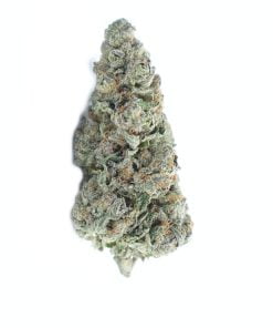 buy Ayahuasca Purple online