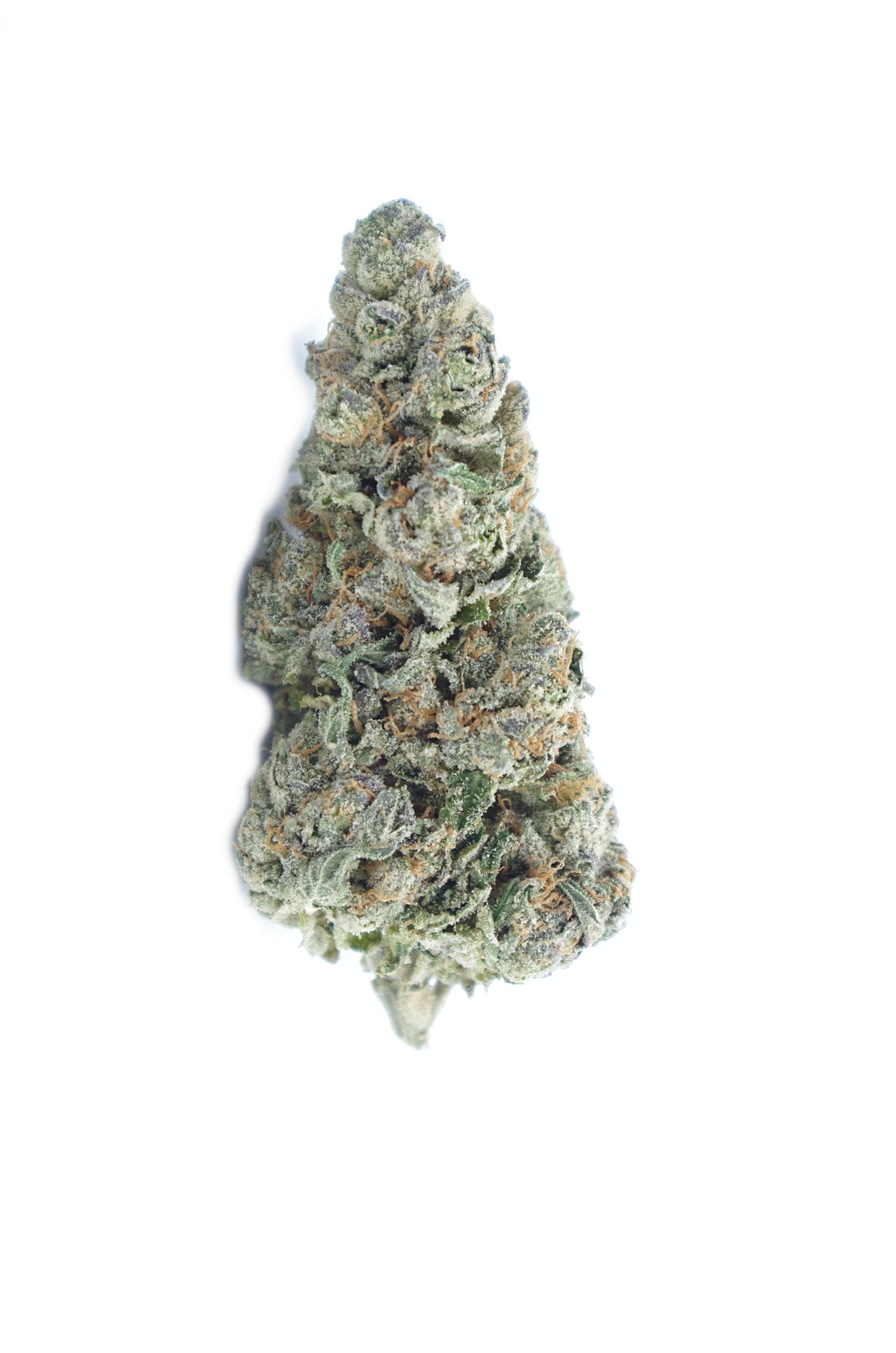 Ayahuasca bud scaled 1 Ayahuasca Purple Oz Special