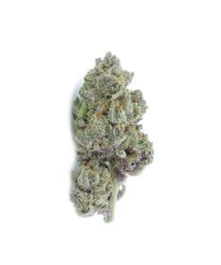 buy banana slamma online