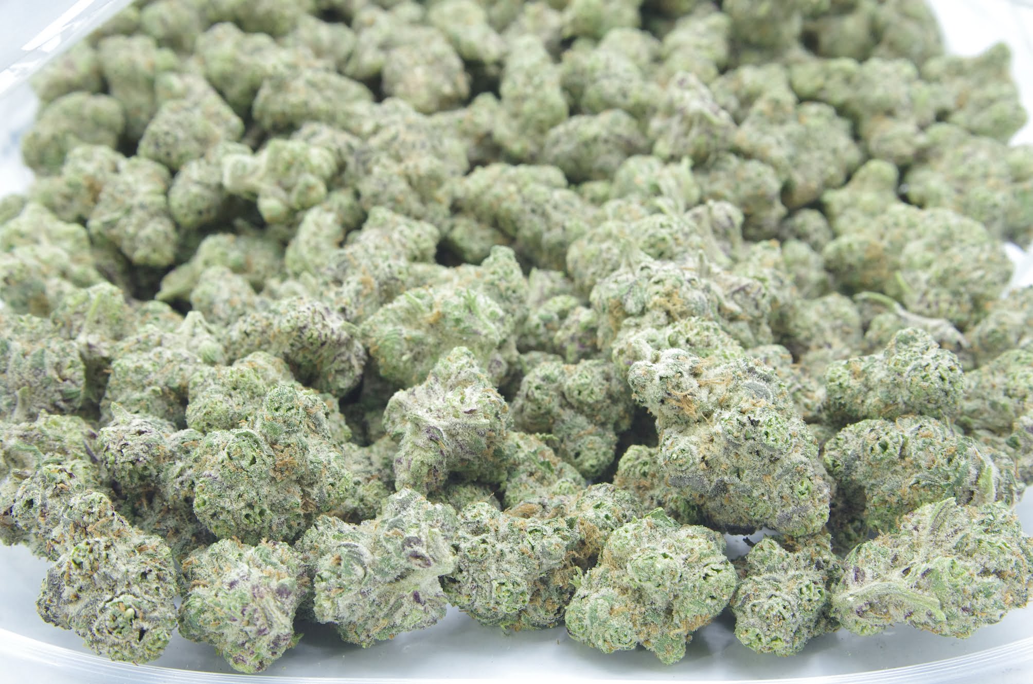 Chocolope bag Chocolope (Oz Special)