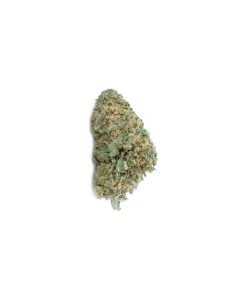 buy gsc online
