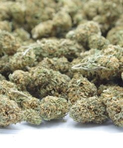 GSC open bag GSC open bag