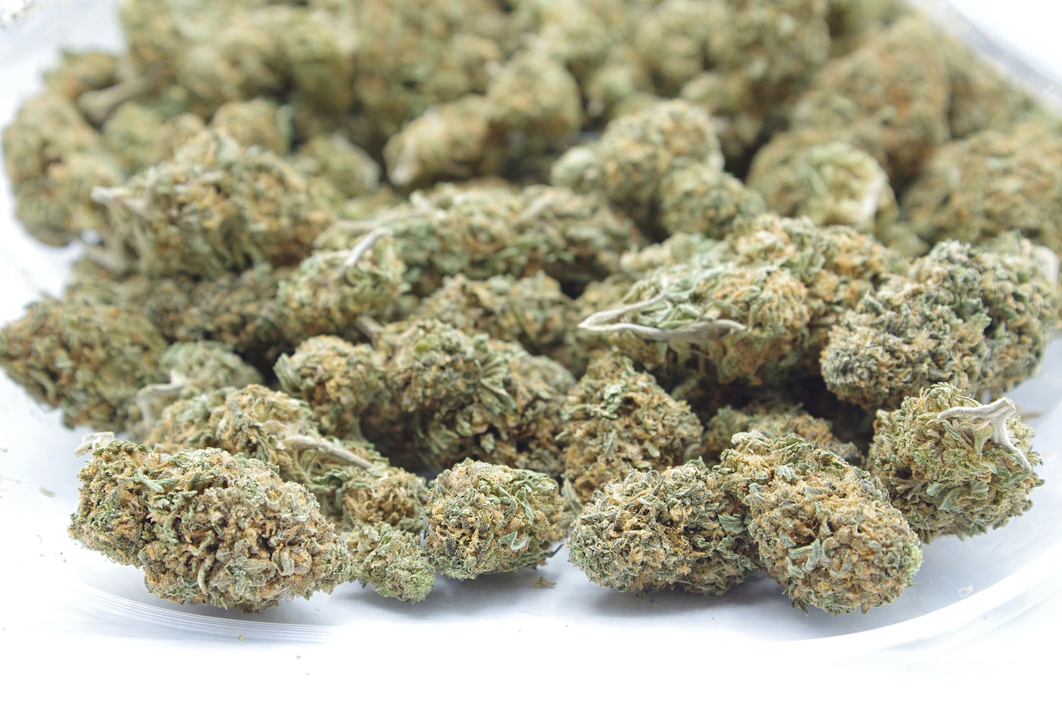 GSC open bag GSC Oz Special