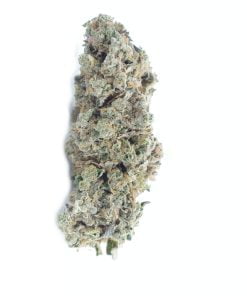 buy i 95 online