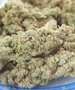 Lemon Jack Bag