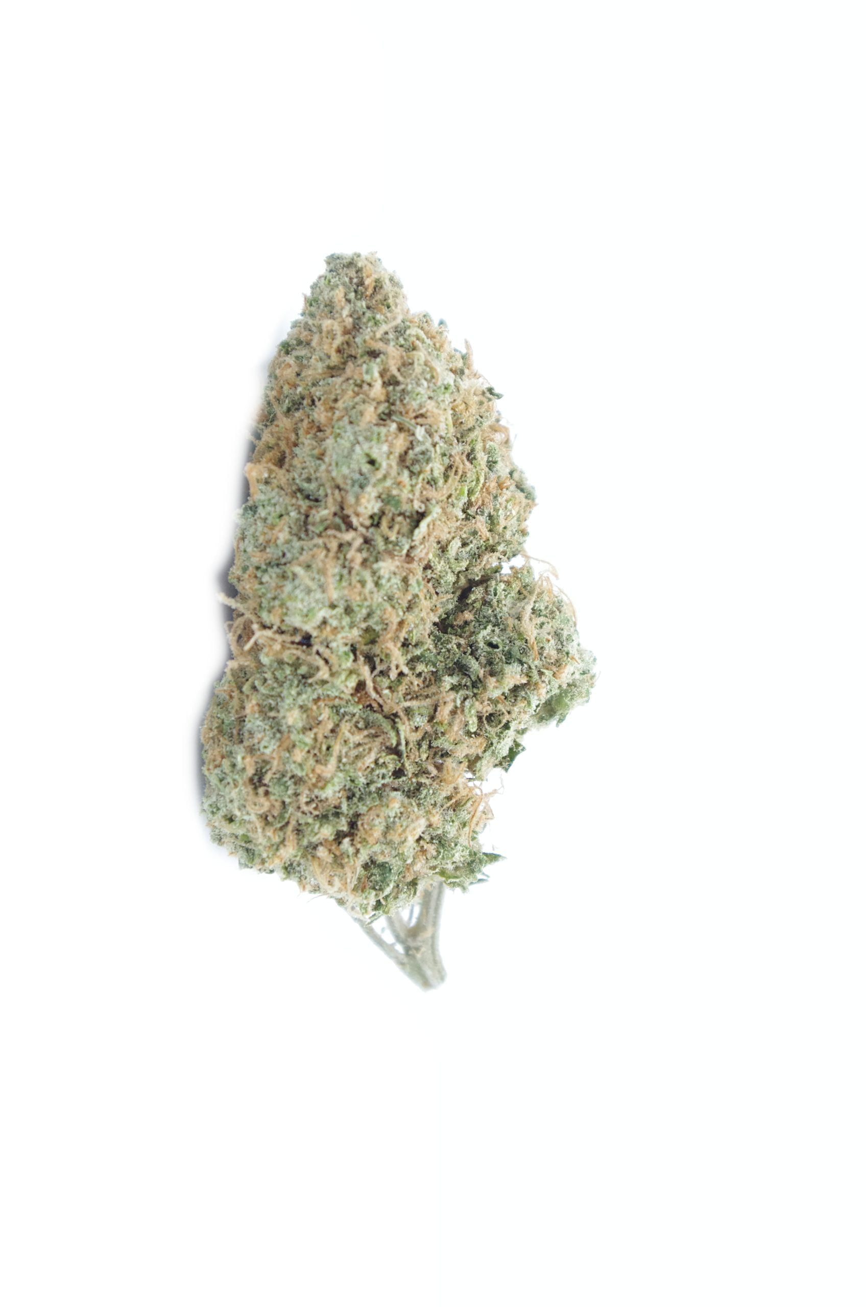 Lemon OG scaled Lemon OG Oz Special