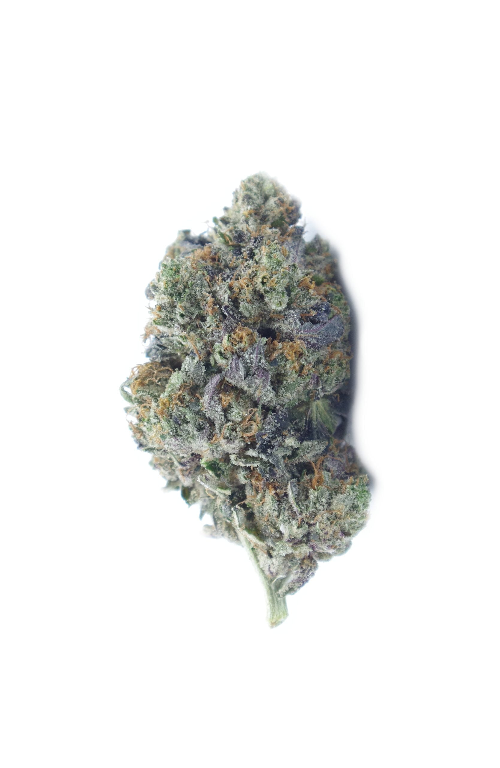 Pink Kush bud scaled Pink Kush