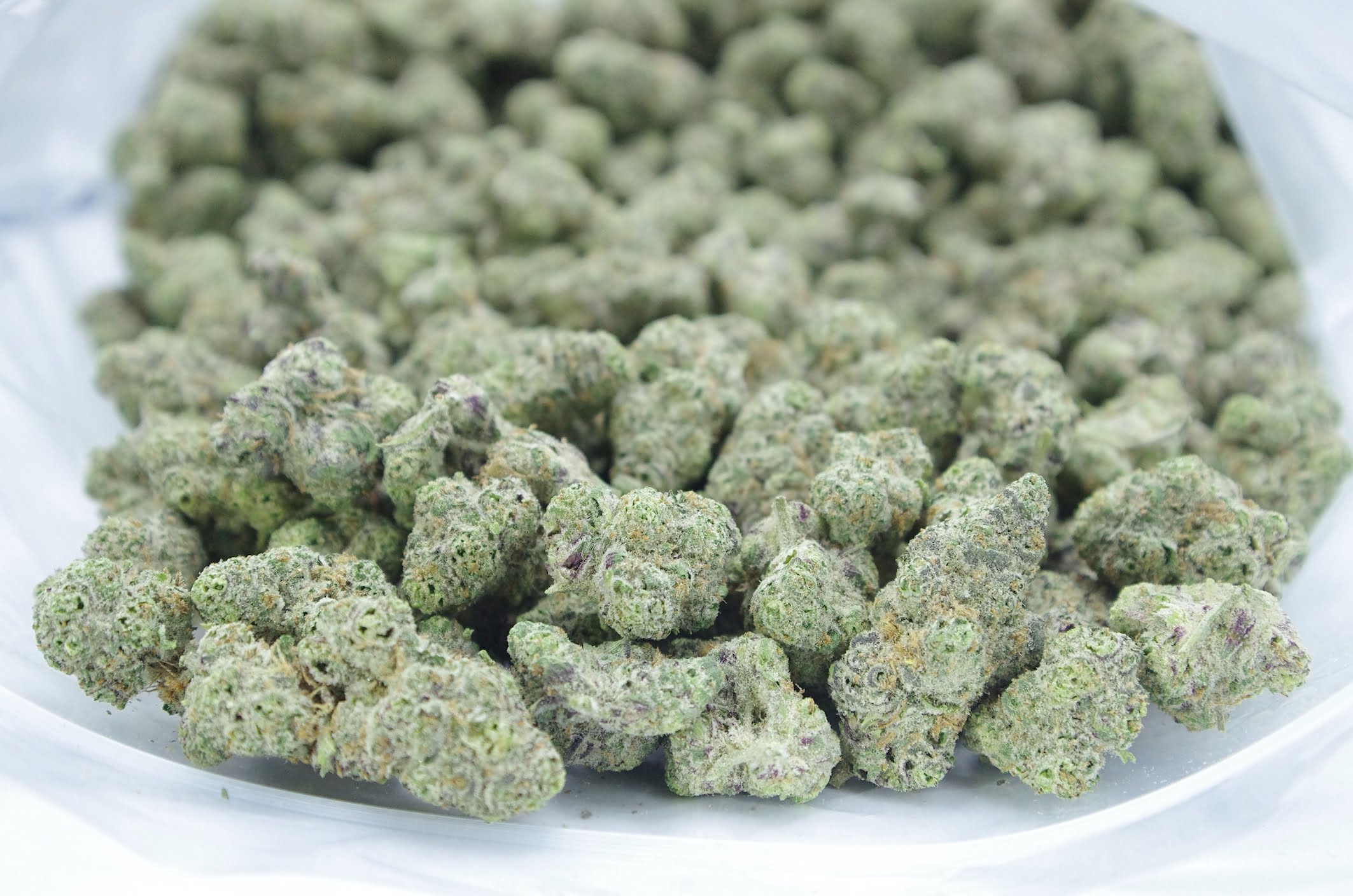 Tropicanna Punch Bag Tropicanna Punch (Oz Special)