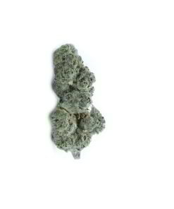 buy tropicanna punch online