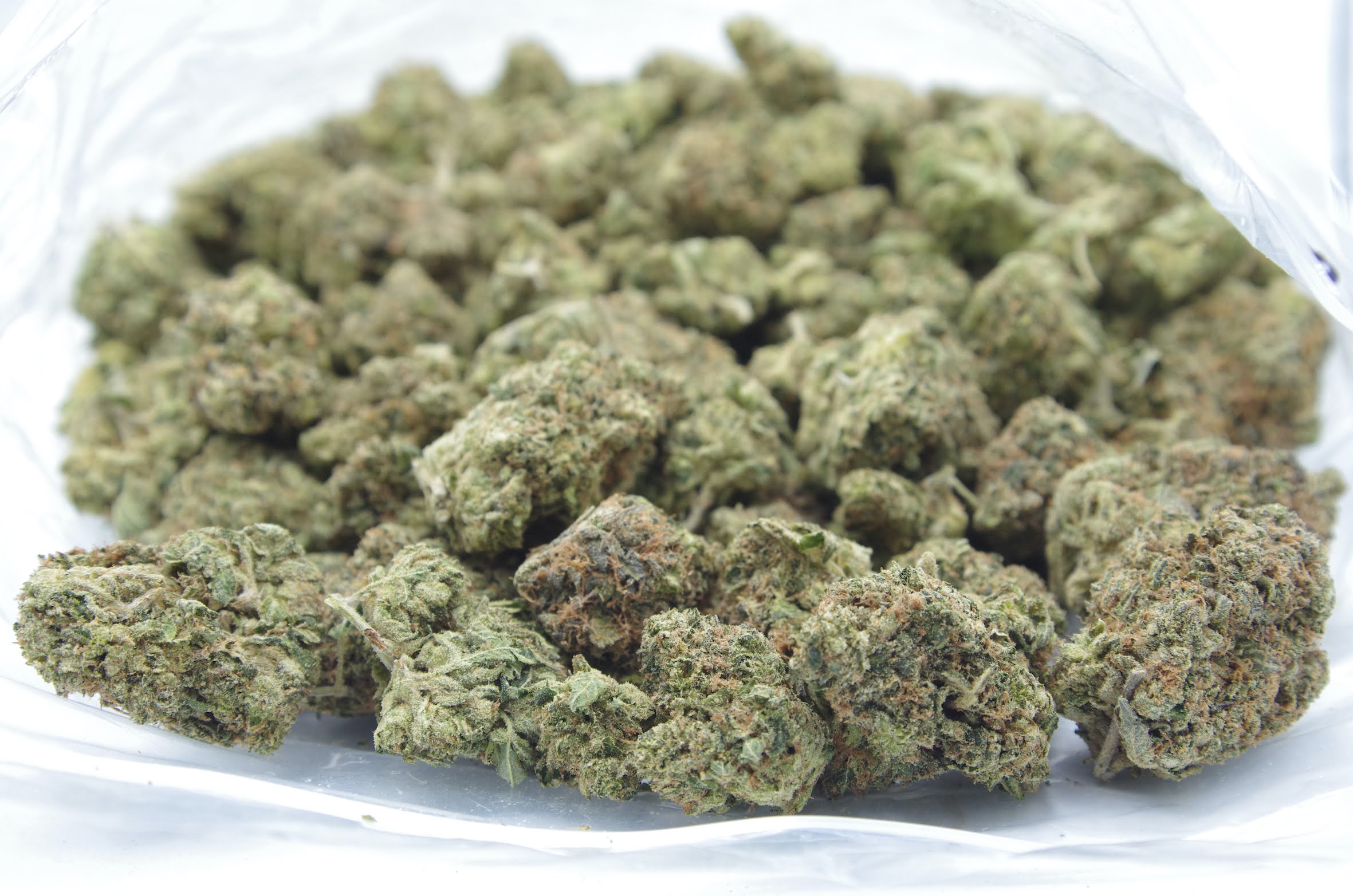 Tuna Bag Tuna Kush Oz Special-9