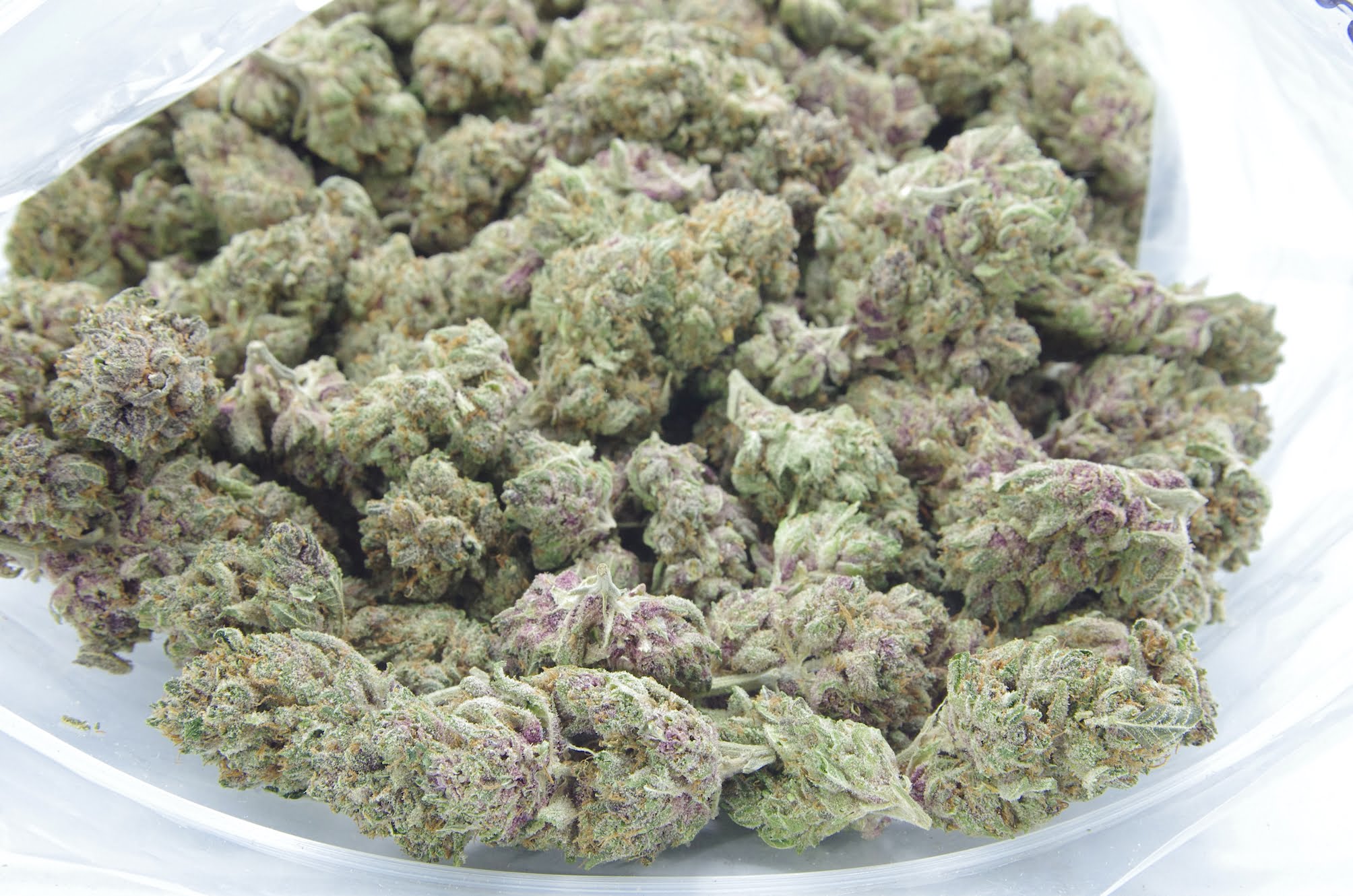 banana slamma bag Banana Slamma Oz Special