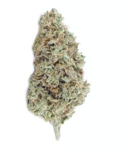 buy chem91 online