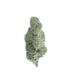 buy chocolope online
