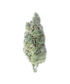 buy death cookies online