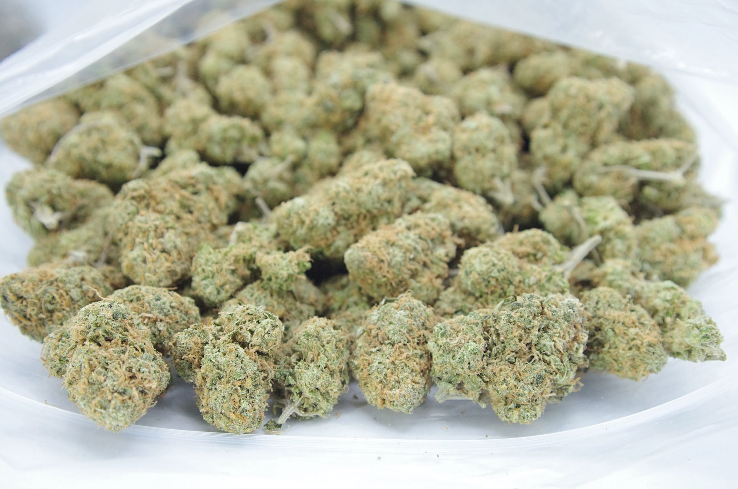 lemon Og Bag Lemon OG Oz Special
