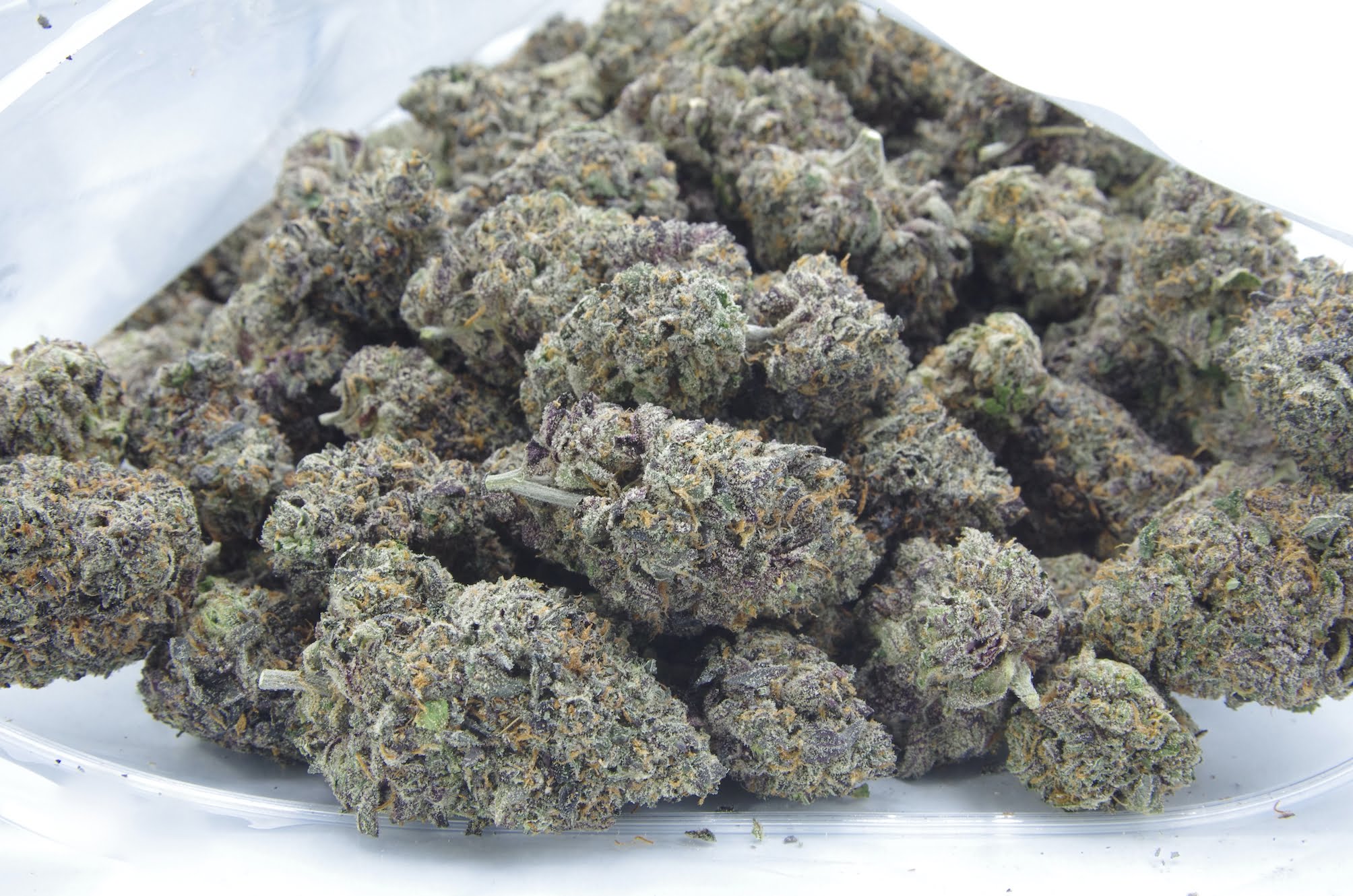sherb quake bag Sherbet Quake Oz Special